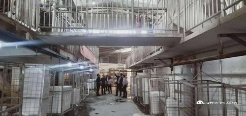 綠色包裝與節能保溫材料項目成功簽約，金屬裝飾材料零售市場迎新機